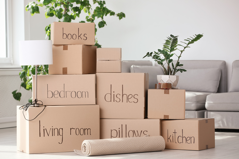 Move In and Move Out Cleaning